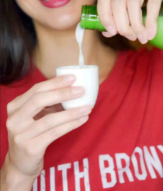 Lone Star Internet Logo